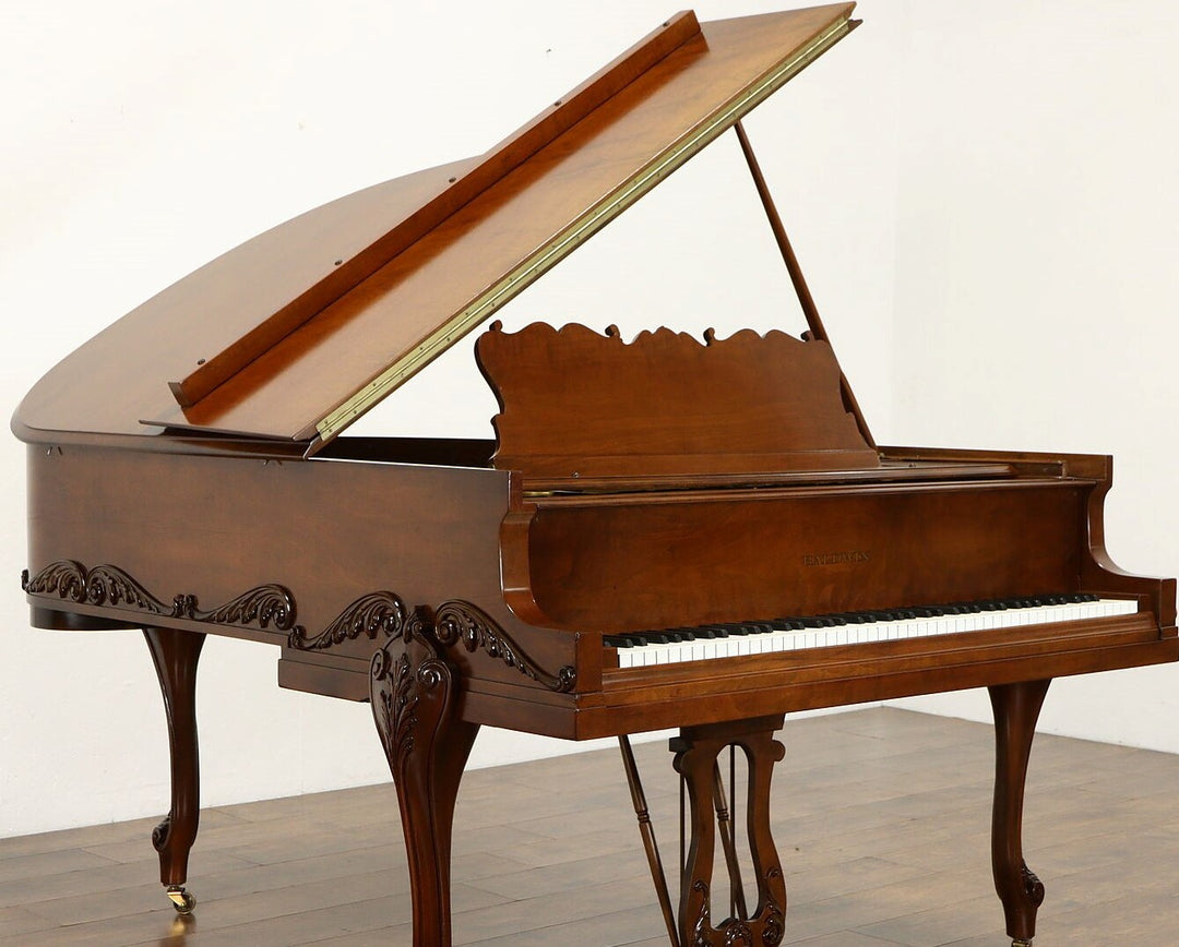 NEW Instrument Lacquer