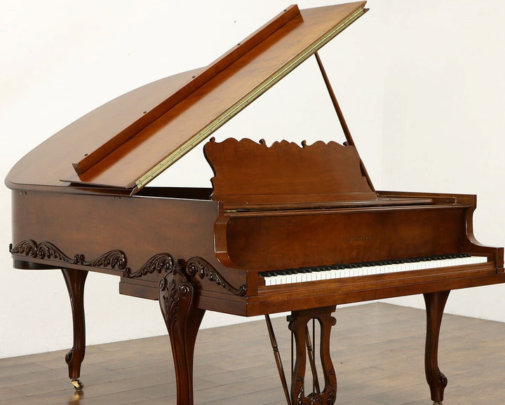 NEW Instrument Lacquer